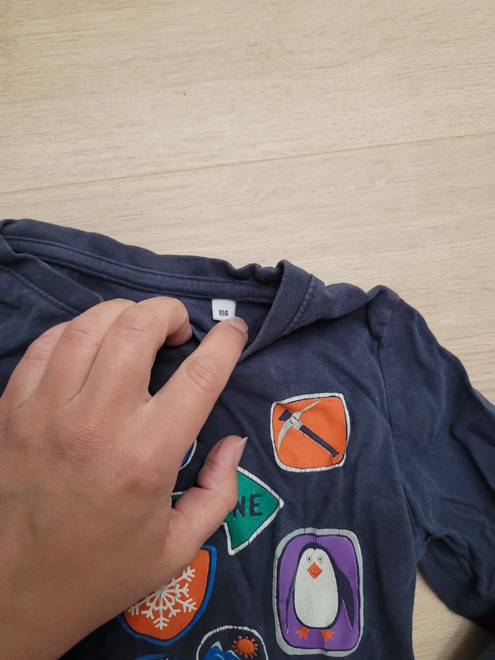 Camicie, T-shirt & Polo: Pullover Gr. 104 – Usato da Lupsingen venduto da sta_wgg5 1