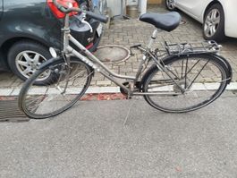 Velo