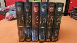 Warrior Cats Staffel 4