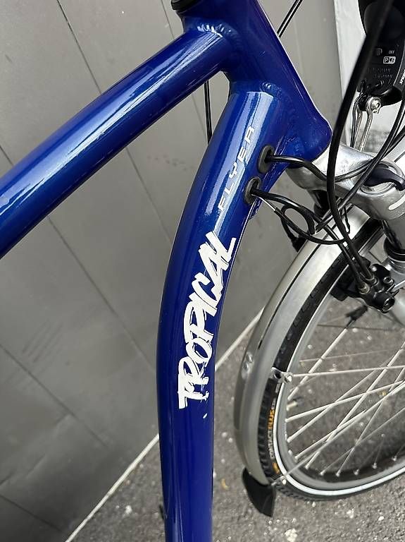Velos: E-bike da uomo Flyer Tropical 28 – Gebraucht aus Quartino von DiloUsato 6