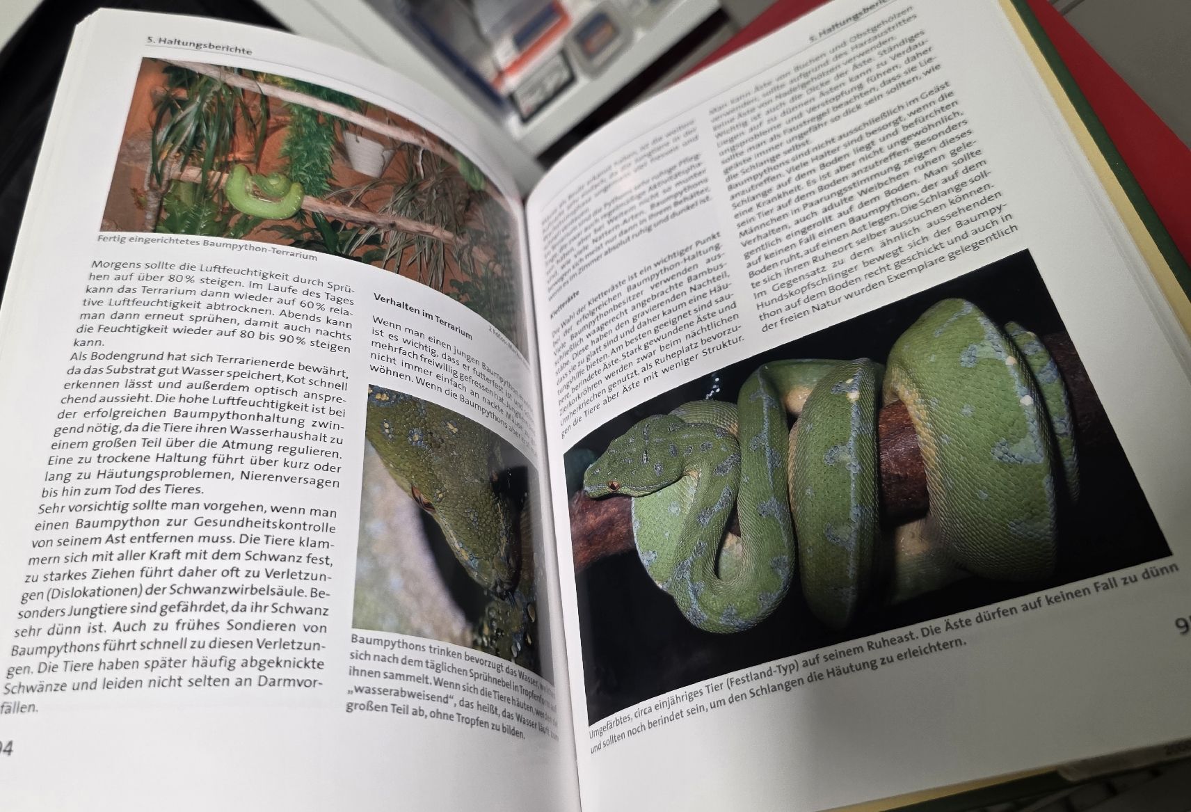 Libri: Schlangenpflege Handbuch (BUCH) – Usato da Reinach BL venduto da _MasterK_ 3