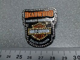 PIN PINS HARLEY DAVIDSON HOG ABZEICHEN CHAPTER V-TWIN
