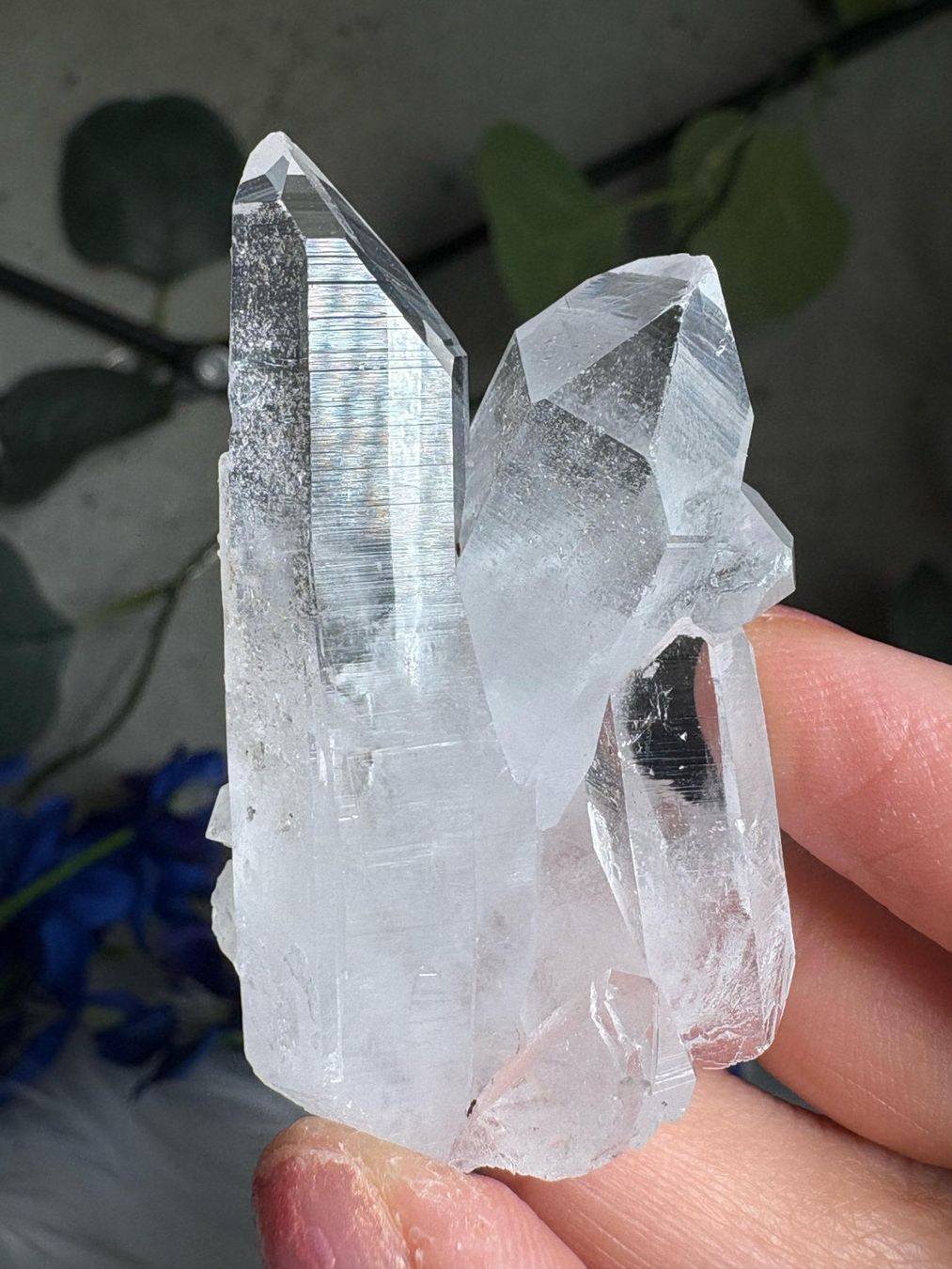 Mineralien & Heilsteine: Kolumbianischer Lemurian-Quarz-Cluster – Neu (gemäss Beschreibung) aus Neuheim von m.hald 1