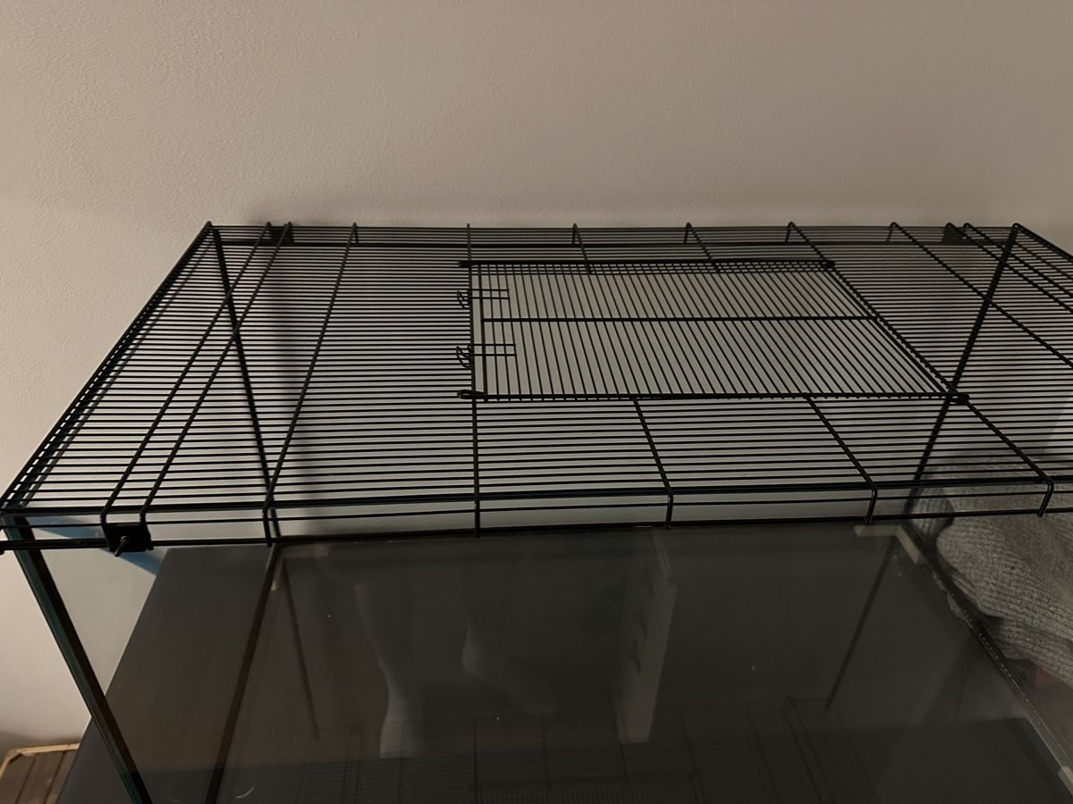 Terrario: Terrarium mit Gitteraufsatz – Usato da Wittenbach venduto da ssp_m8bh 1