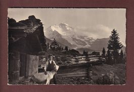 Bei WENGEN - Jungfrau - Ziege - 1933 E. Gyger