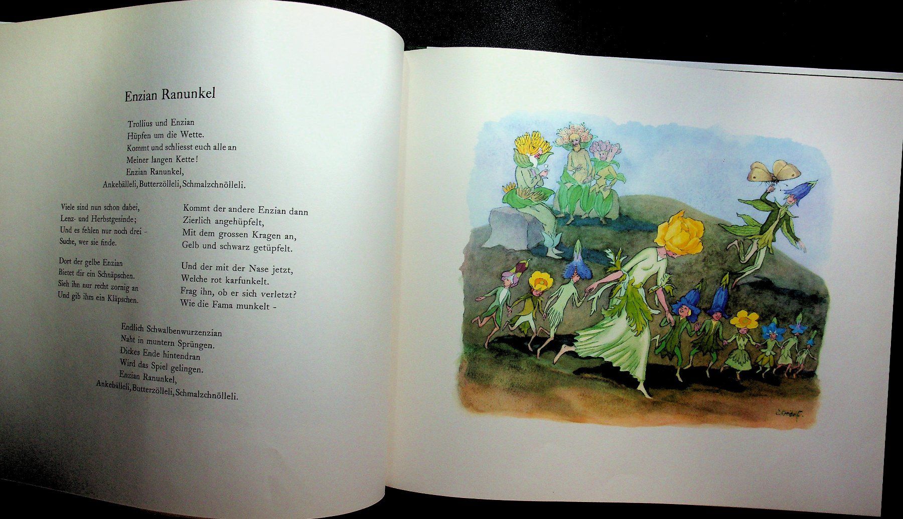 Bücher: Ernst Kreidolf Alpenblumenmärchen – Gebraucht aus Reitnau von zao_6stq 7