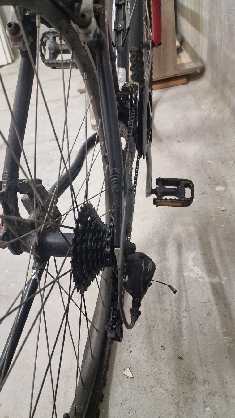Biciclette: Wheeler Proride Mountainbike 19' – Usato da Seftigen venduto da ben_wr99 2
