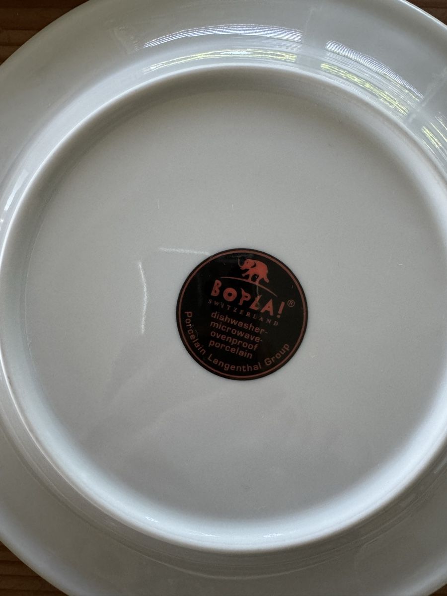 Piatti: 5 Teller Bopla Switzerland Fischmotiv bunt Durchmesser 22cm – Usato da Lanzenhäusern venduto da Galaa 4