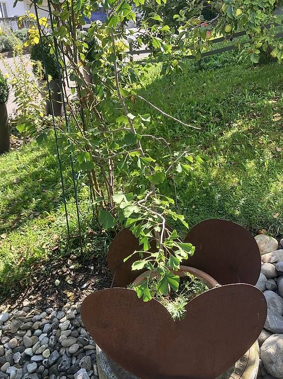 Blumentöpfe: Blumentopf Herzform – Gebraucht aus Kerns von Adrian613