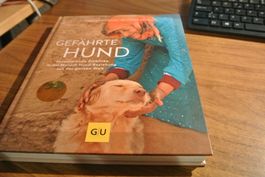 Gefährte HUND