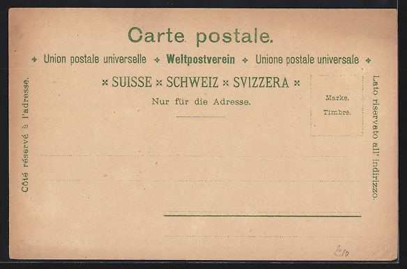 Cartoline postali: Litho Murten, Gesamtansicht, Karl der K – Usato da Berlin venduto da bartko-reher 1