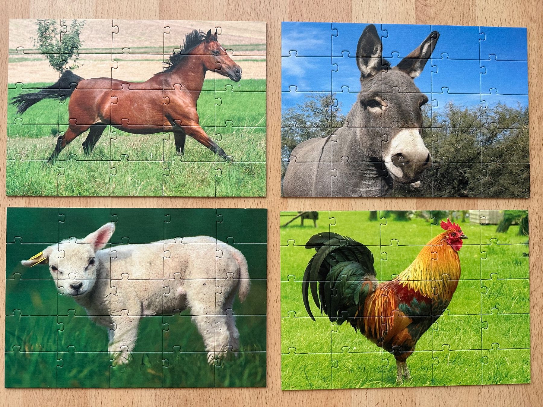 Puzzle: SCHUBI - 4 Puzzles Francais – Nuovo (secondo la descrizione) da Schwarzenburg venduto da mezulienka 2