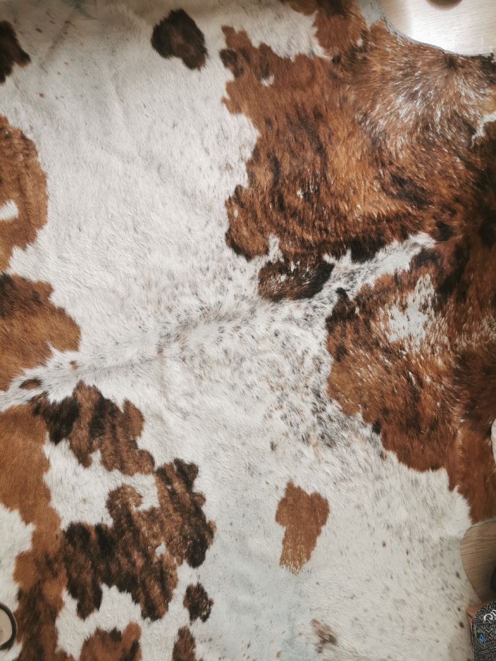 Teppiche: Stierfell-Teppich – Neu (gemäss Beschreibung) aus Schlieren von vlalif 3