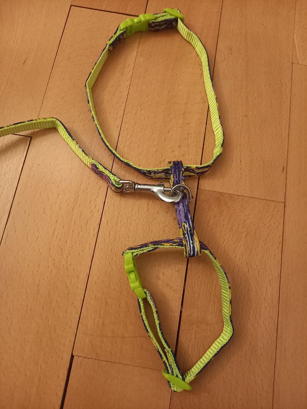 Leine & Halsband: Kleines Katzengeschirr oder Hundegeschirr – Gebraucht aus Bern von Coma0001 1
