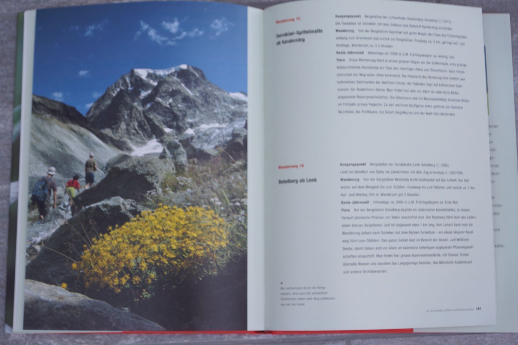 Libri: Die schönsten Alpenblumen – Nuovo (secondo la descrizione) da Obstalden venduto da Porco13 7