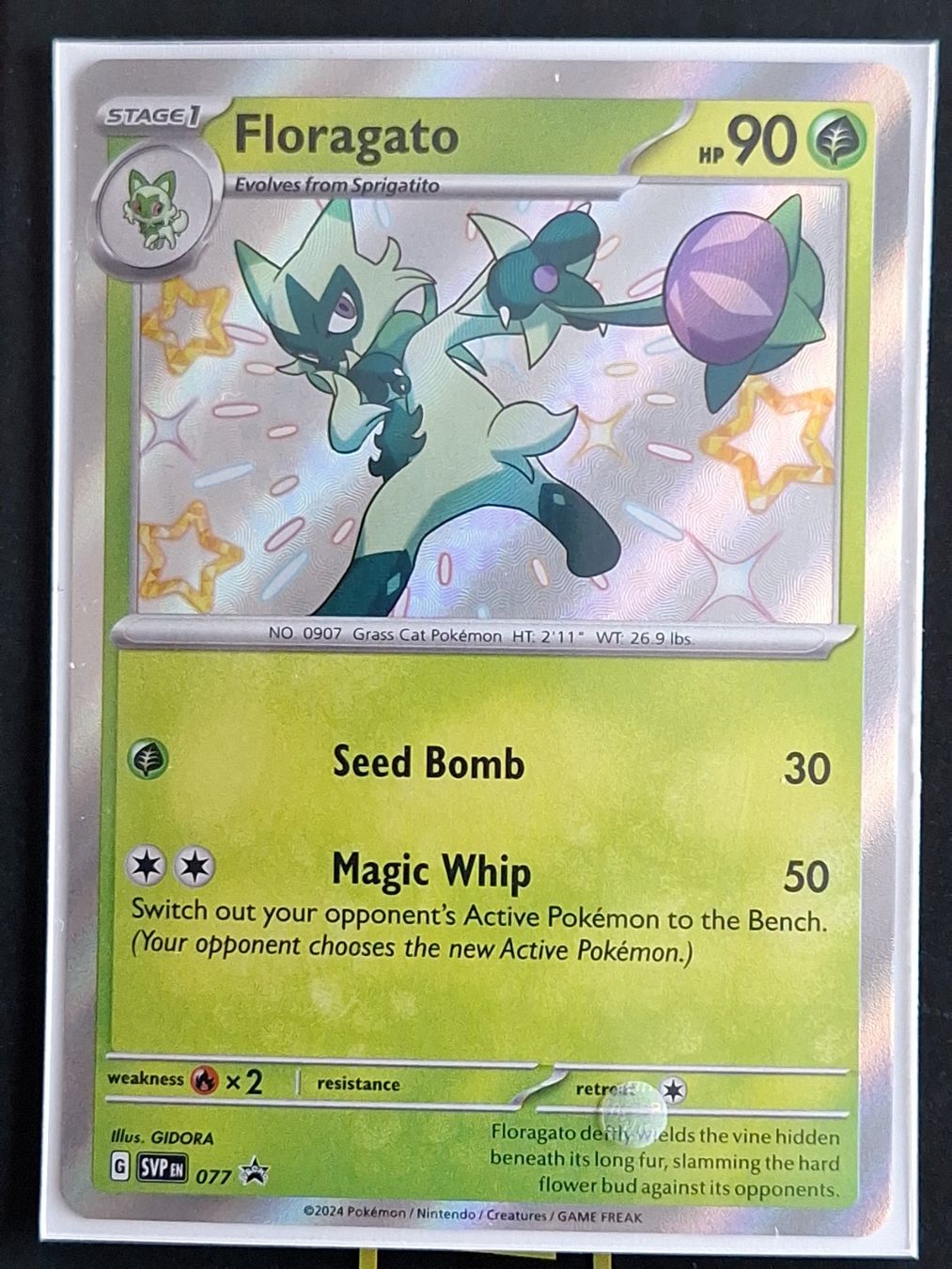 Pokémon Carte collezionabili: Shiny Floragato - Promo – Usato da Altstätten SG venduto da GGsGameshop