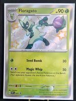 Shiny Floragato - Promo