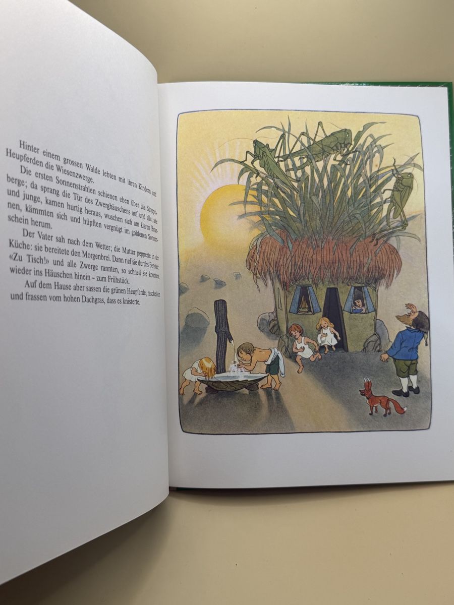Libri: Die Wiesenzwerge Ernst Kreidolf Ars Edition 1983 – Usato da Genève venduto da sho_67qj 6