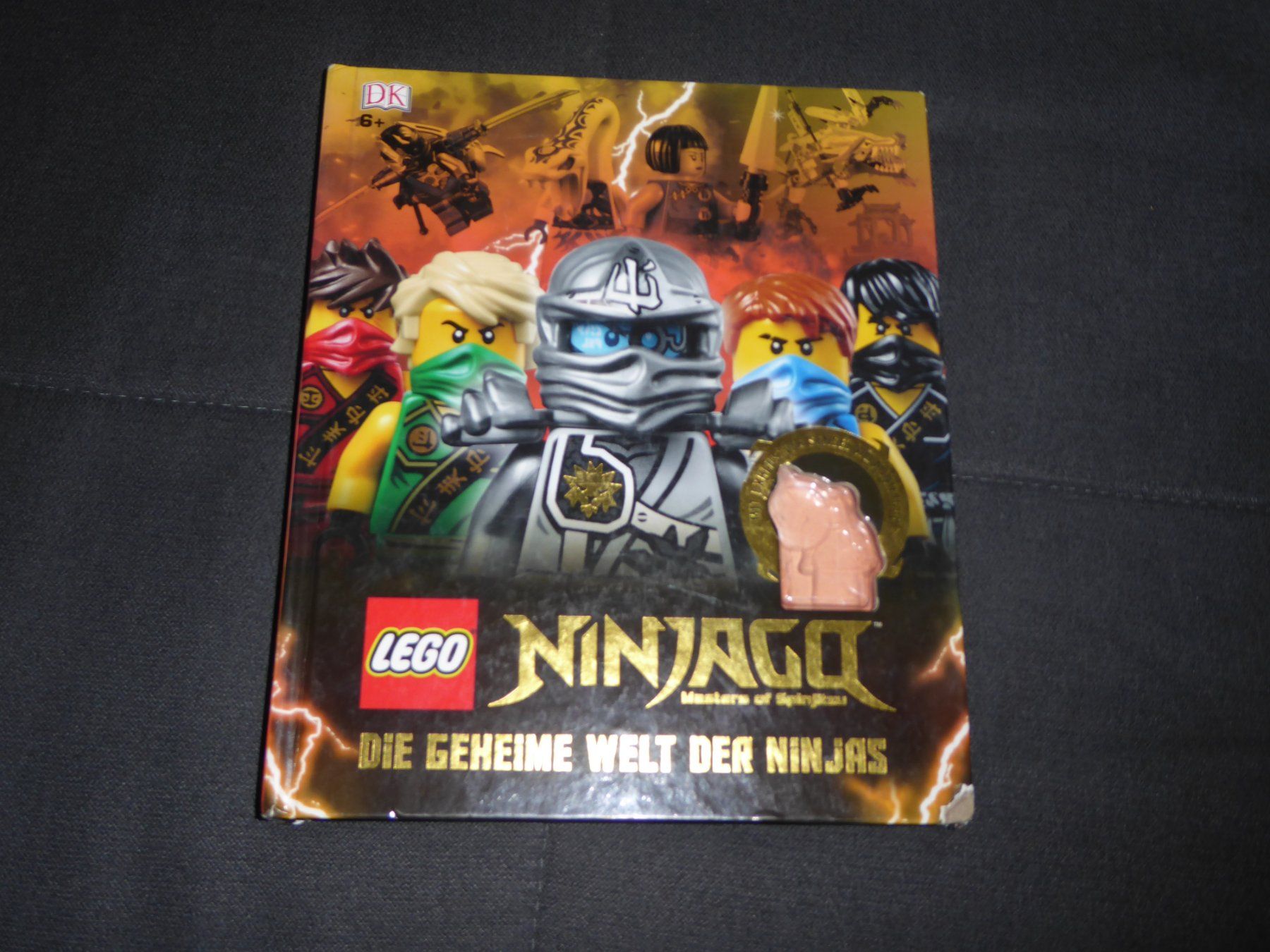 Livres: Ninjago die geheime Welt der Ninjas – D'occasion à Frauenfeld par CymonHardy