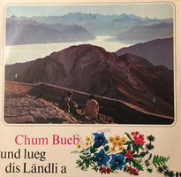 Chum Bueb und lueg dis Ländli a (LP)