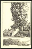 Alt-Wiedikon, Haldenstrasse, IM WIL, Künstlerkarte dat. 1922