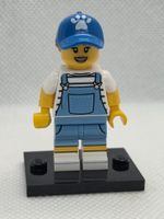 Lego col350 Dog Sitter
