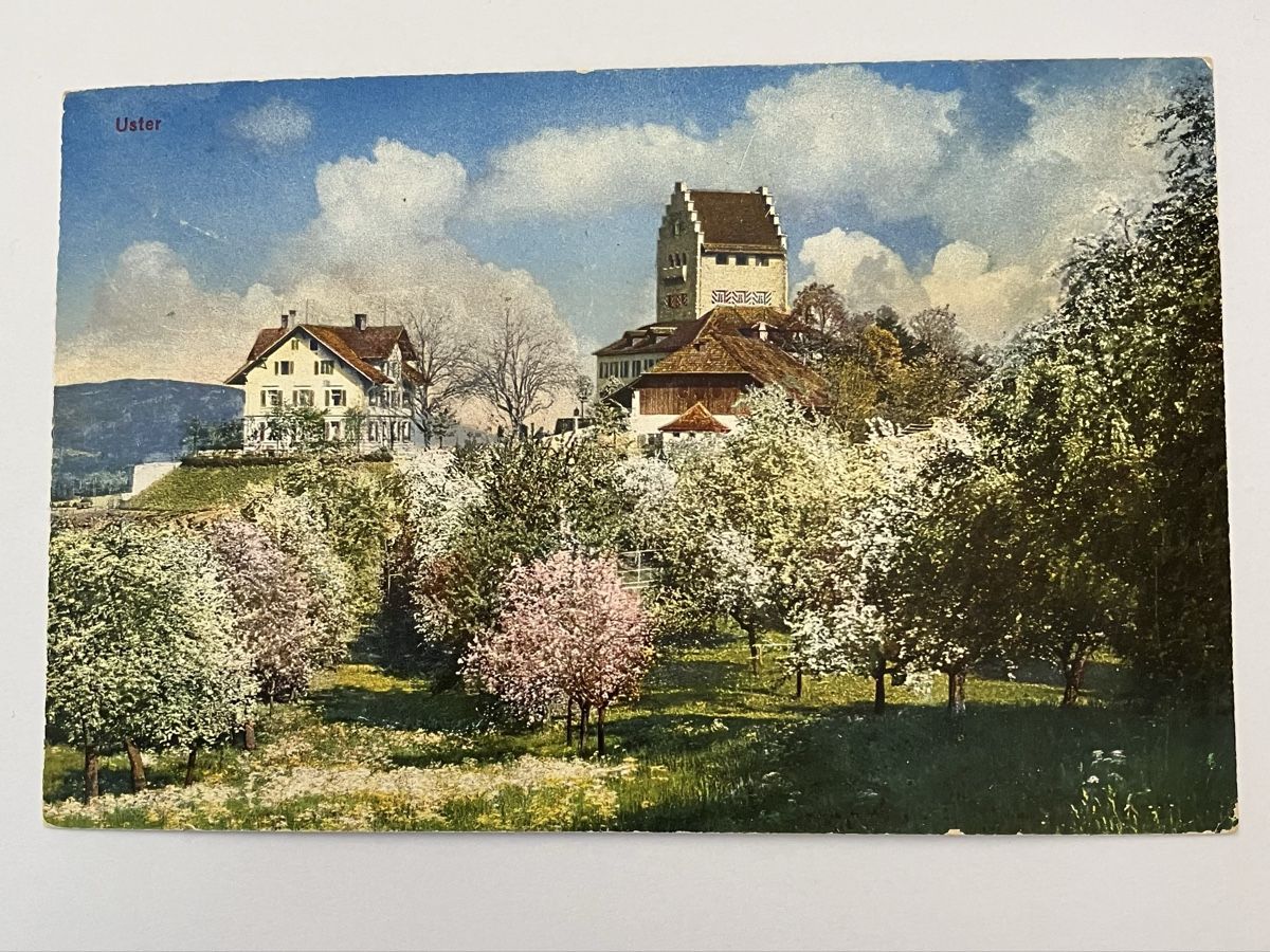 Cartoline postali: Alte Ansichtskarte Uster, Frühling, Schloss, 1925 – Usato da Bauma venduto da Baumer71