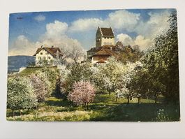 Alte Ansichtskarte Uster, Frühling, Schloss, 1925