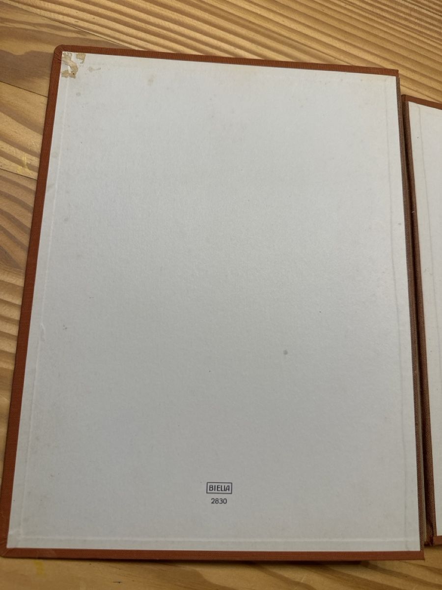 Biella Album: Briefmarken Album Biella  – Usato da Horw venduto da yvesmarc 3