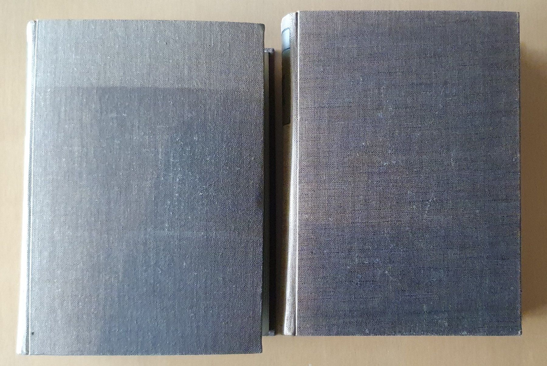 Libri: 2 Bücher  - Geschichte der Schweiz, Ernst Gagliardi – Usato da Kreuzlingen venduto da Rschweiz1 1