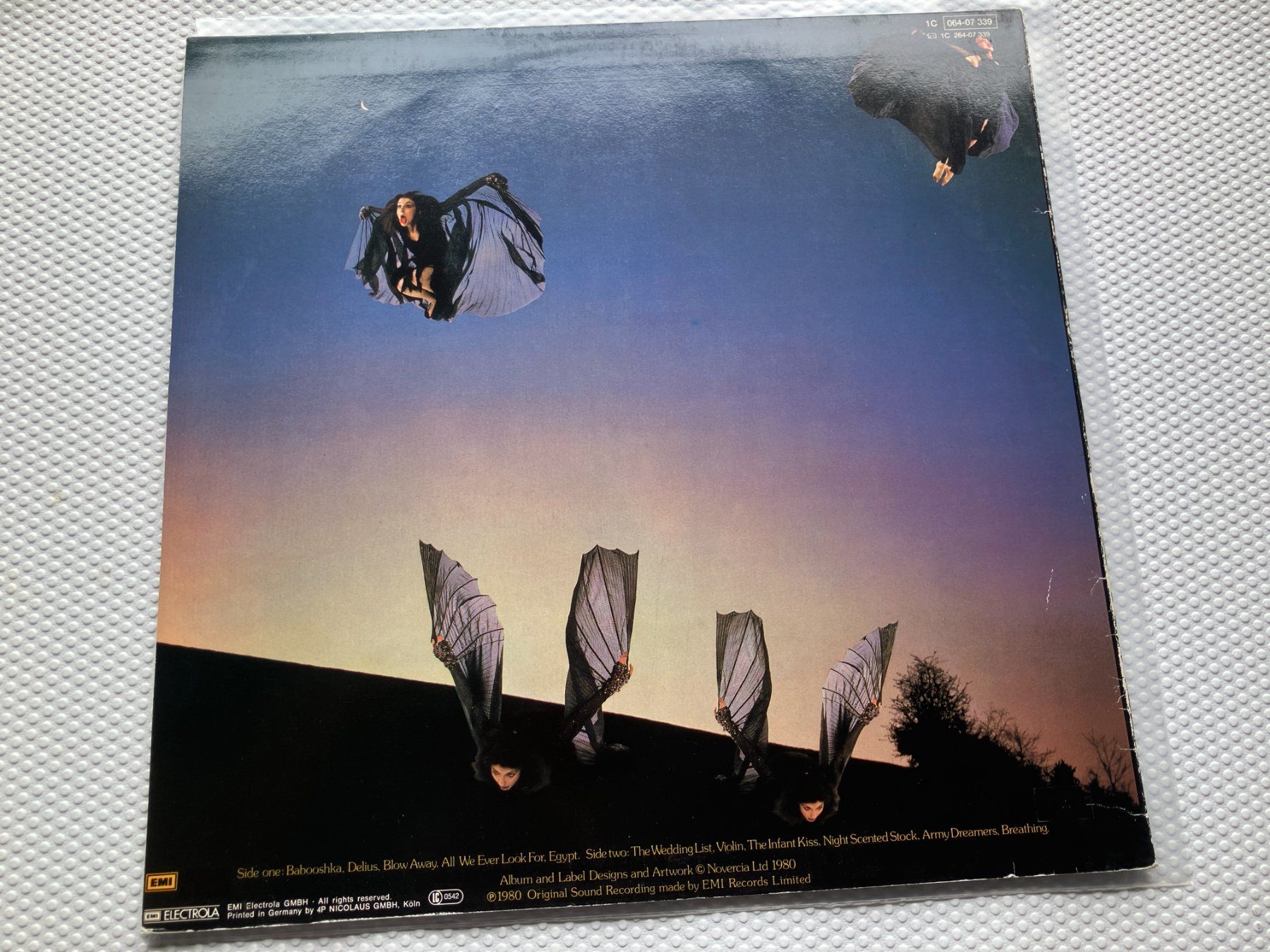 Dischi in vinile: Kate Bush – Usato da Aarwangen venduto da Jukebox3 2