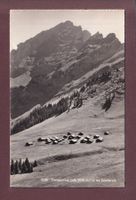 TAVEYANNAZ - Les Diablerets