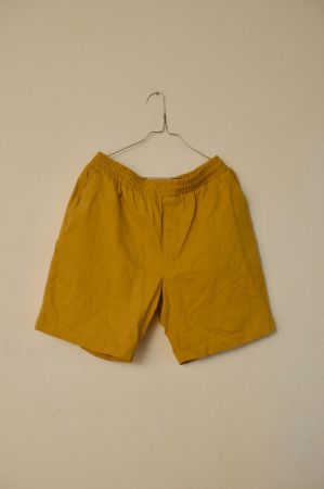Shorts Revolution