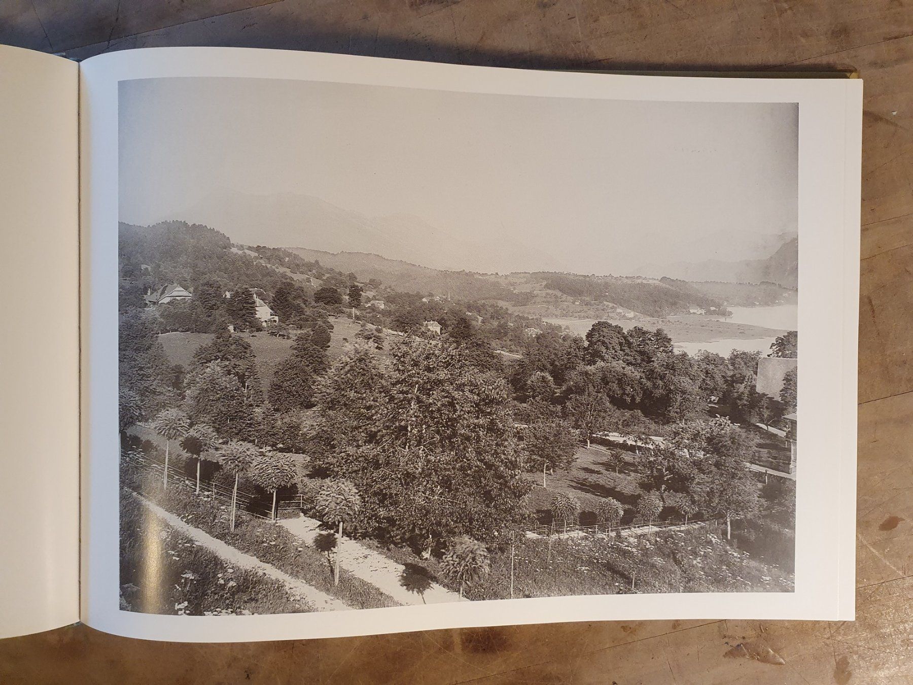 Livres: Luzerner Lob - Frühe Photographien – D'occasion à Zürich par loosebone 2
