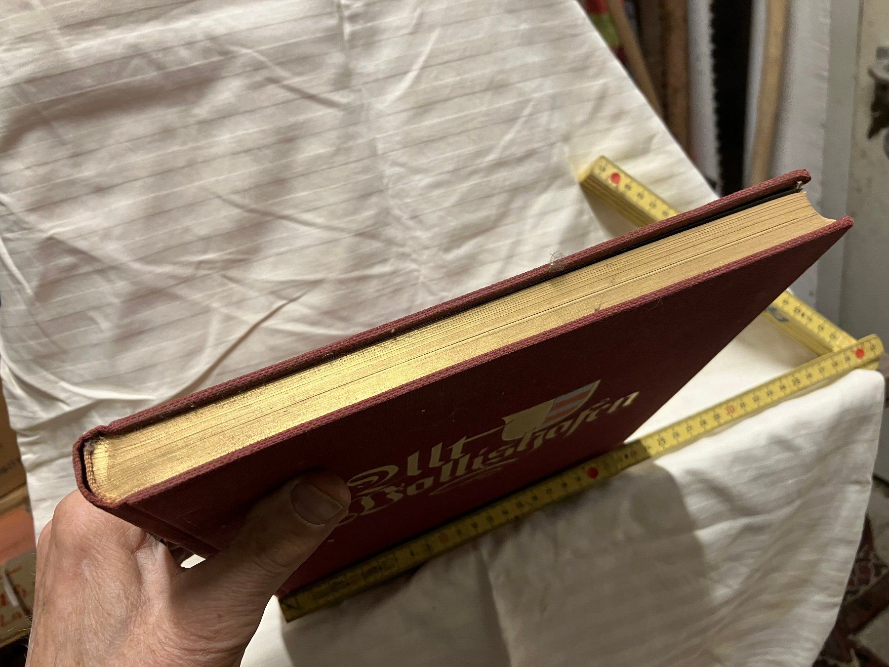 Libri: ALT WOLLISHOFEN UM 1926 – Usato da Pfäffikon ZH venduto da Einarrolf 7