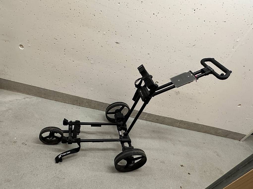 Trolleys: Flat Cat Touch Hybrid – Gebraucht aus St.Gallen von _Cherry_Brandy_ 2