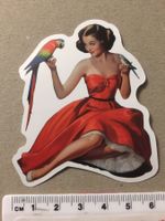 Pin up Pinup Girl Aufkleber Sticker (Nr. 47)