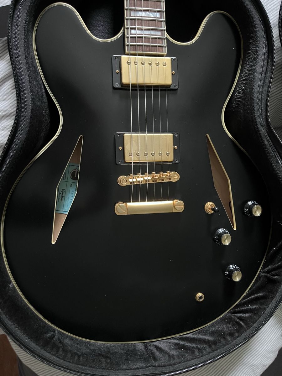Epiphone Strumenti musicali: Epiphone Emily Wolfe Stealth Black – Usato da Zürich venduto da ckay78 2