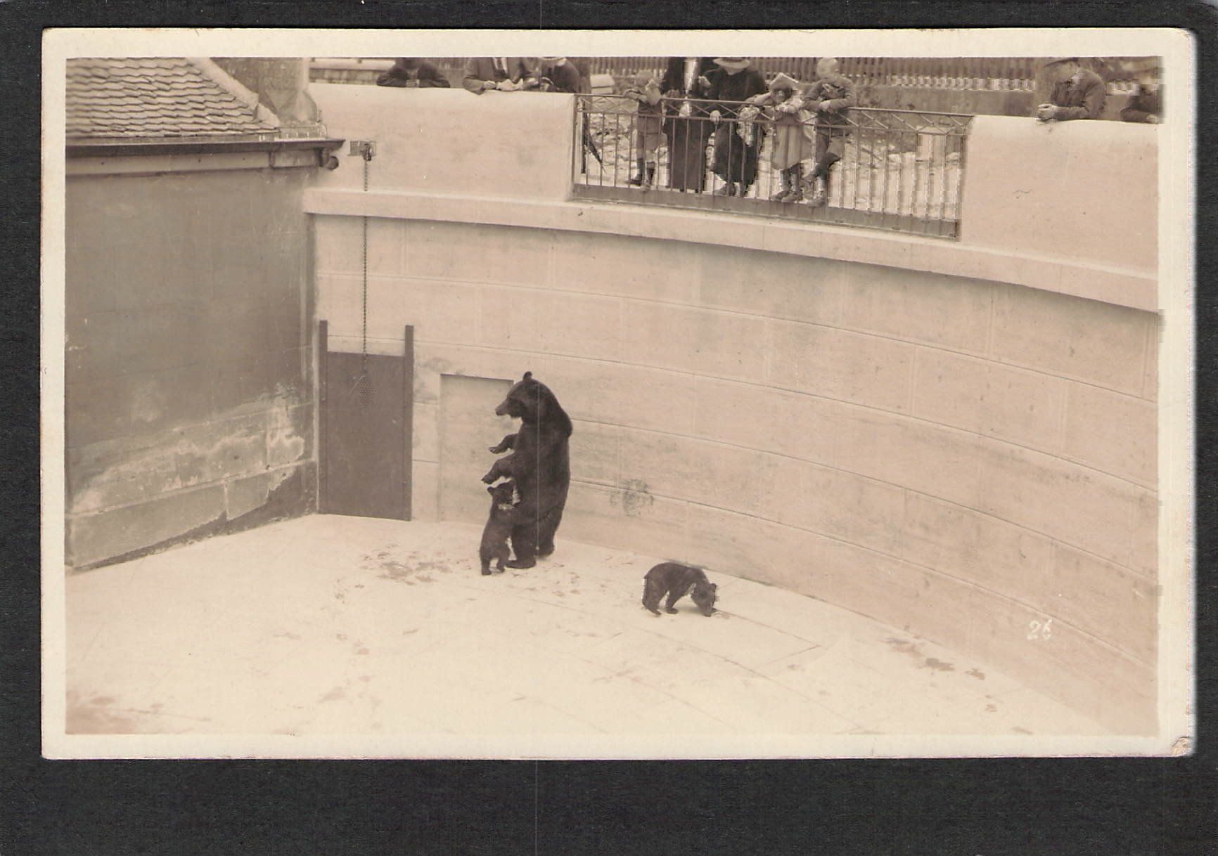 Cartoline postali: -Echtfoto Bern , Bären , 1927,ev.Unikat – Usato da Reichenburg venduto da Pipo-67