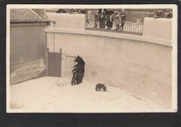 -Echtfoto Bern , Bären , 1927,ev.Unikat
