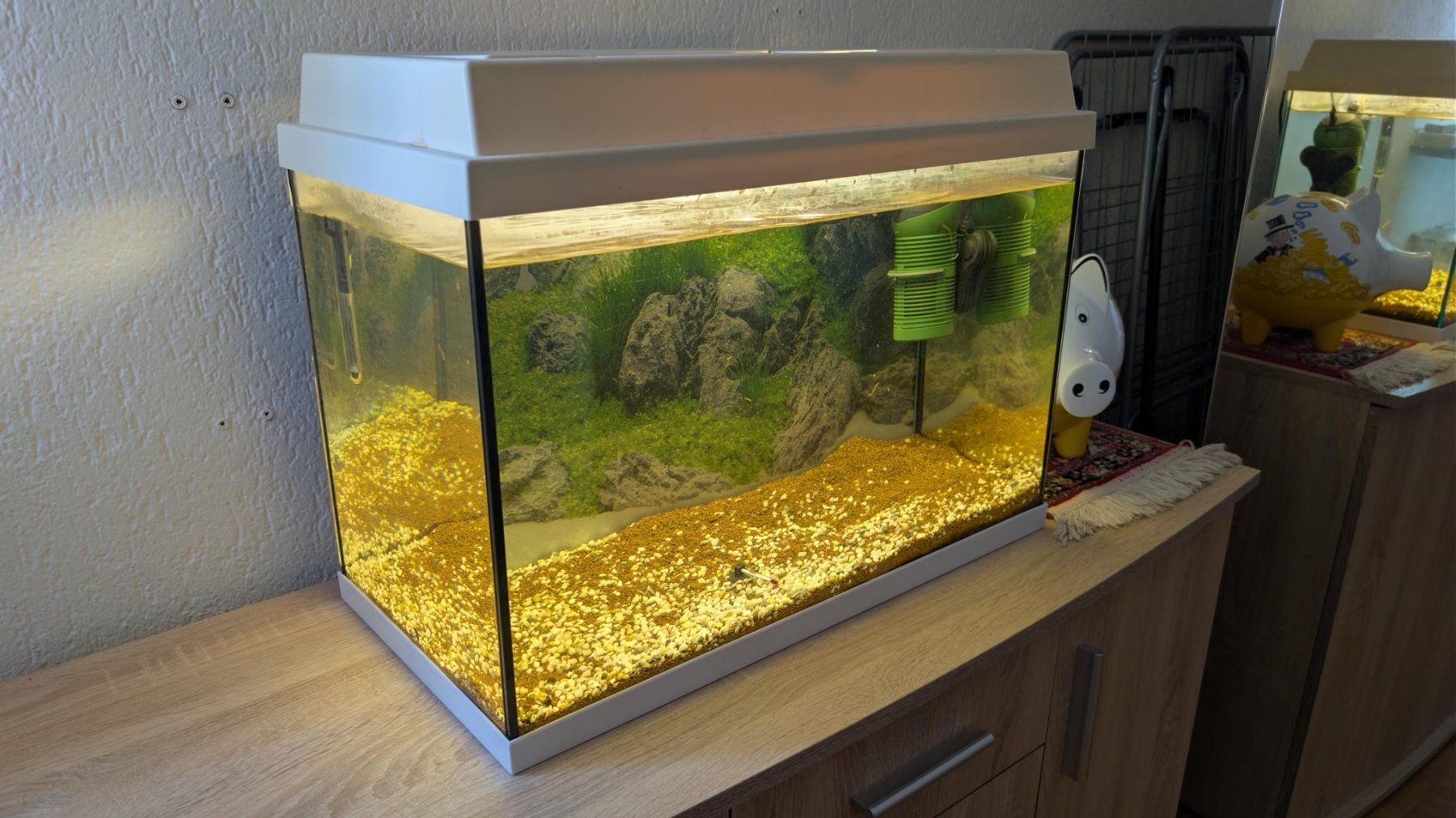 Aquarium: Acquario 60 litri – Gebraucht aus Viganello von enz_rds7 1