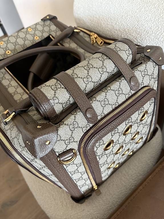 Borse: Gucci Hunde-Katzentasche neuwertig – Usato da Unterägeri venduto da mar_96hk 3