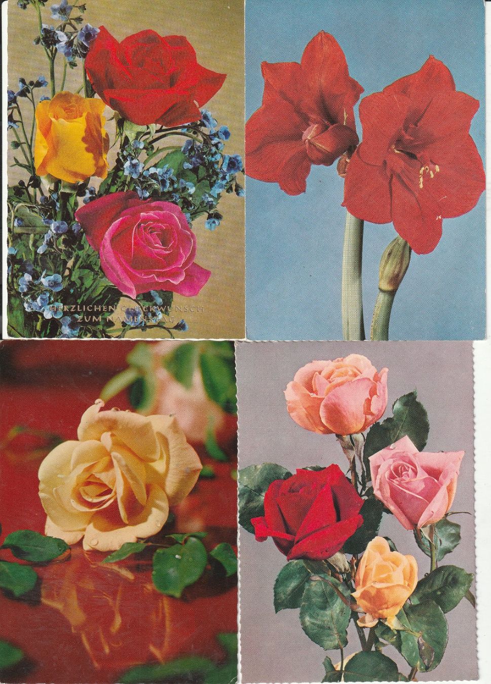 Cartoline postali: 40 Blumenkarten – Usato da Lumbrein venduto da made02 1