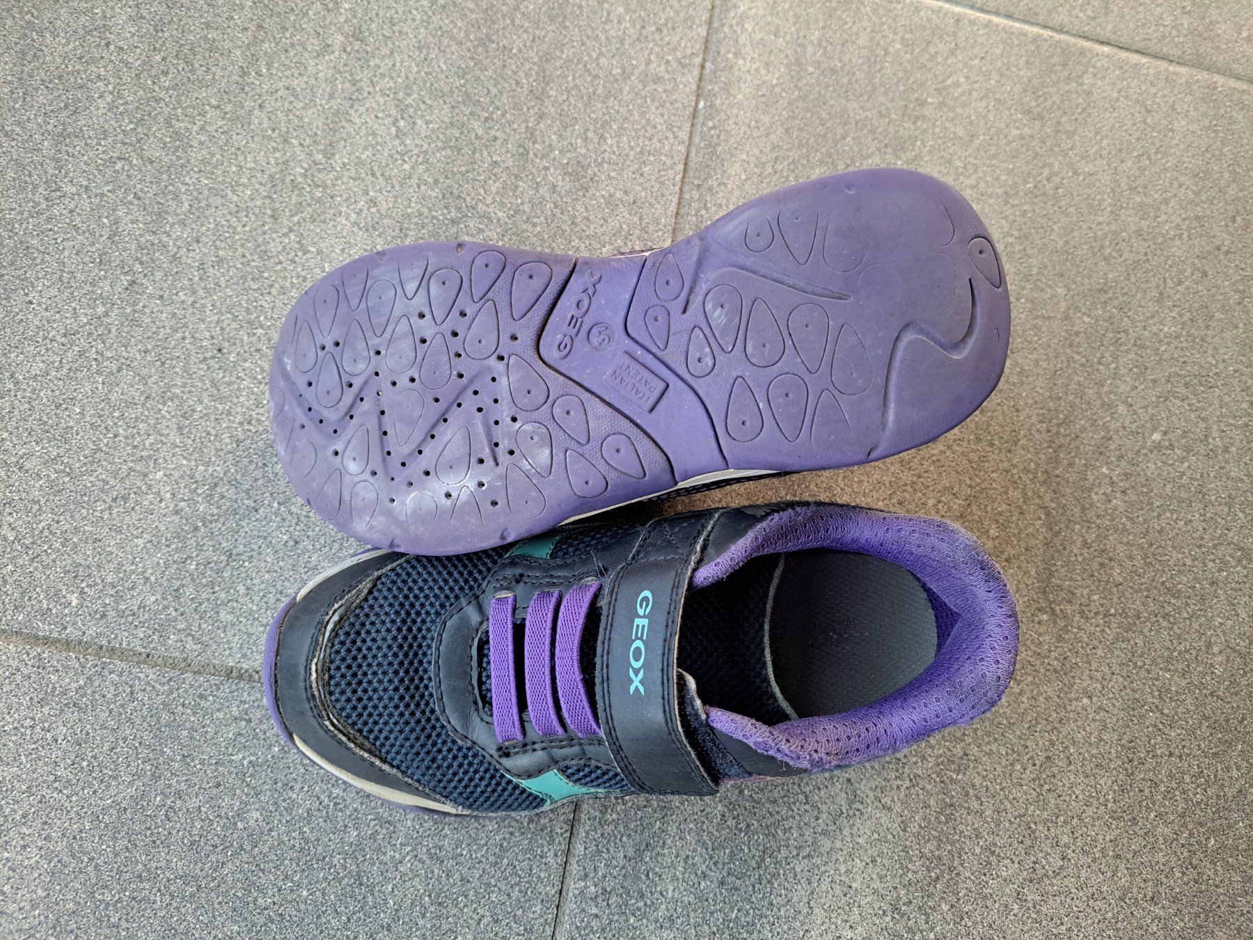 Geox Scarpe per ragazze: GEOX Schuhe Gr 31 – Usato da Bünzen venduto da nagyagi111mail 2