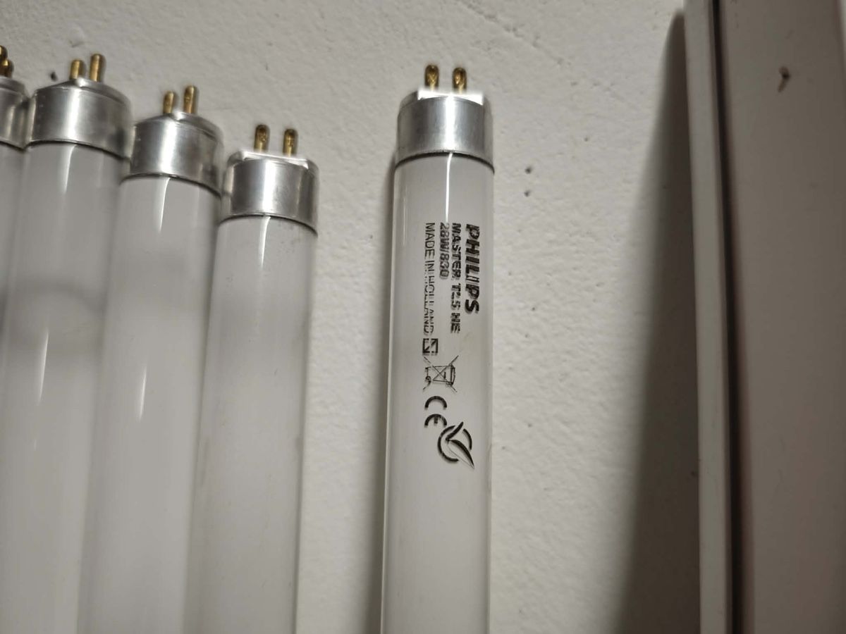 Lampade: Fluoreszenz Leuchten  – Usato da Bühler venduto da comaneci 2