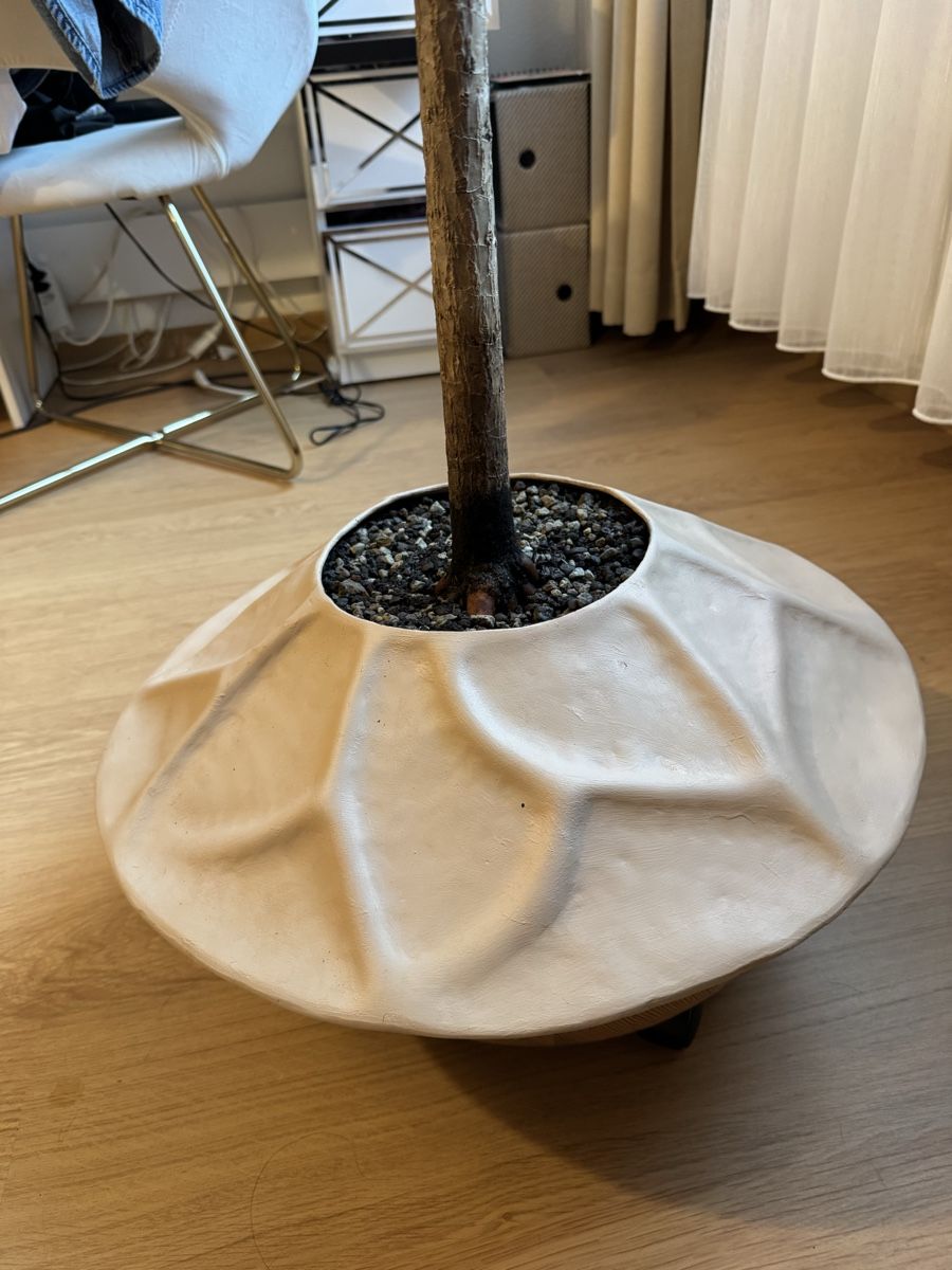Piante & sementi: Einfache Palme/Drachenbaum 1,90m – Usato da Rümlang venduto da Gruseh.ch 1