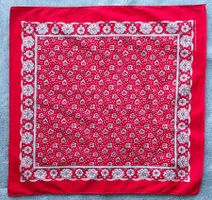 Glarnertuch Biker - Tuch 49 x 50 cm rot/weiß/schwarz
