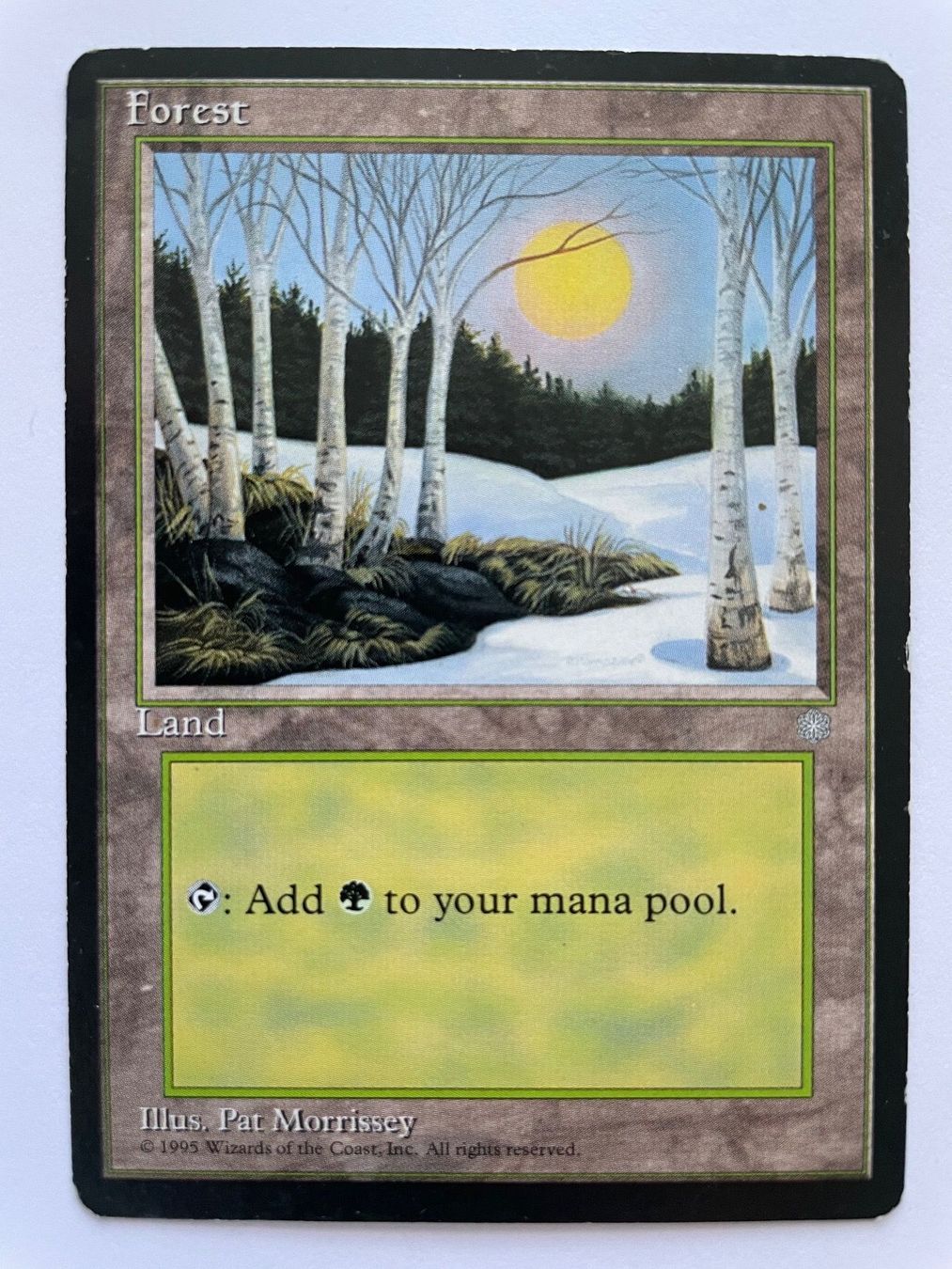 Cartoline: MTG - Forest – Usato da Zürich venduto da T_H_O_M_A_S