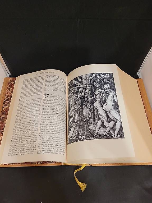 Libri: Familienbibel – Usato da Beromünster venduto da Elektrox 1