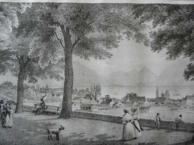 Stiche: Vevey Vivis – Gebraucht aus Risch von Rischli15 1